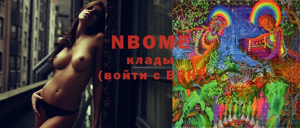 индика Баксан