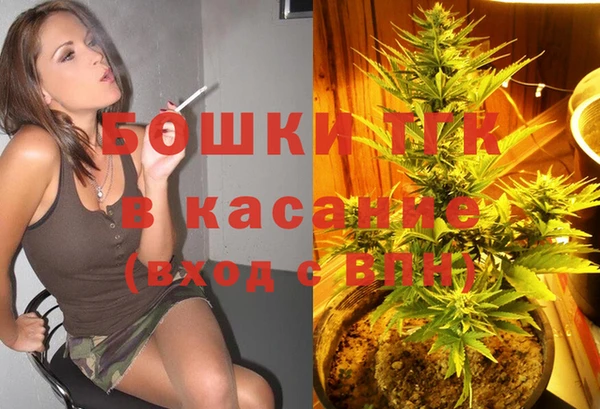 индика Баксан