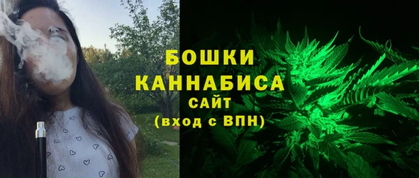 индика Баксан