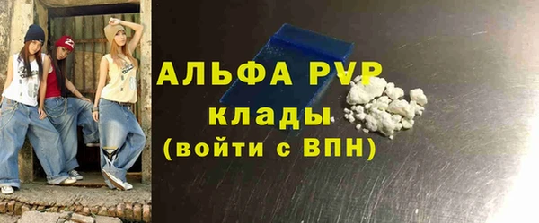 индика Баксан