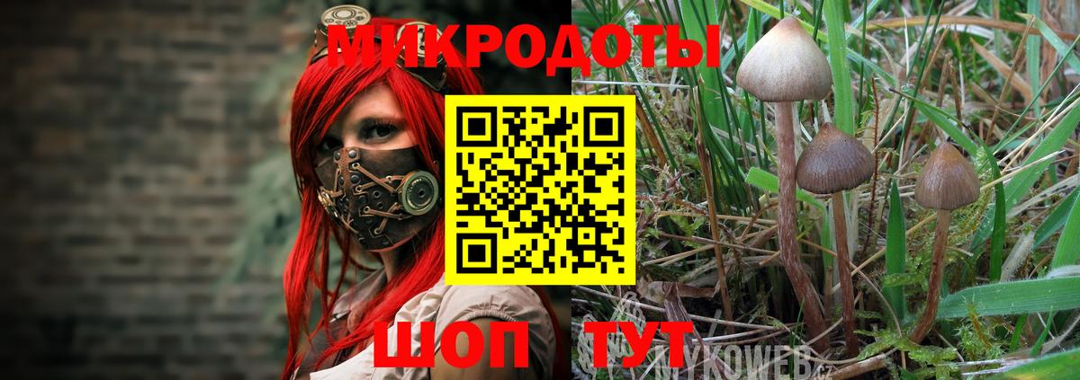 Баксан  магазин    Вход с VPN  Псилоцибиновые грибы MAGIC MUSHROOMS 